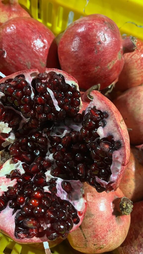 بهترین انار ساوه کجاست