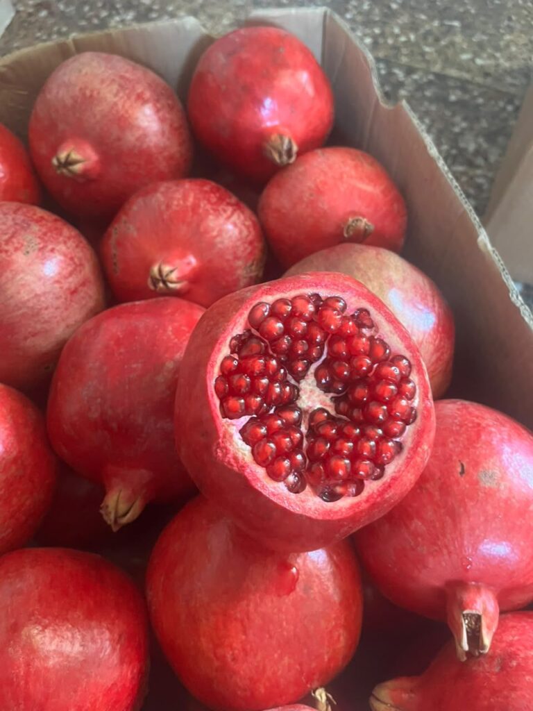 بهترین انار ساوه کجاست